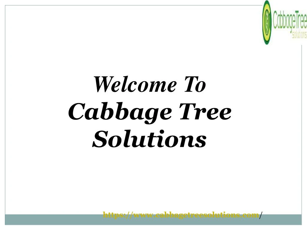 welcome to cabbage tree solutions