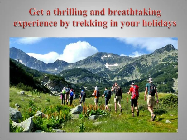 Get a thrilling and breathtaking experience by trekking in your holidays