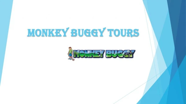 Monkey Buggy Tours