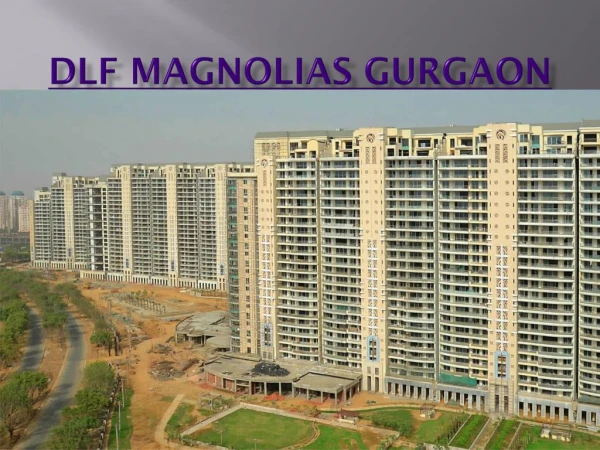 DLF Magnolias Gurgaon