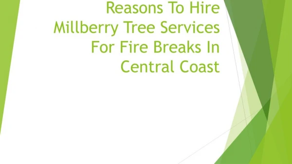 Reasons To Hire Millberry Tree Services For Fire Breaks In Central Coast