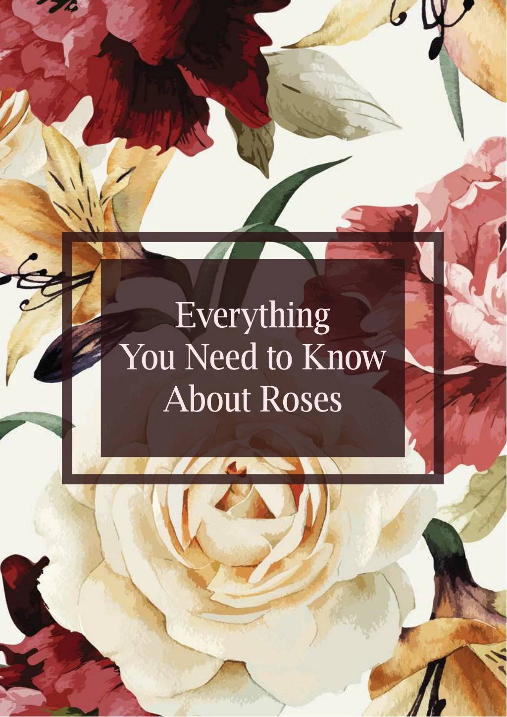 everything you need to know about roses