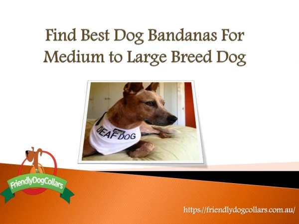 Find the best dog Bandanas for Medium to large Breed Dogs | Friendly Dog Collars