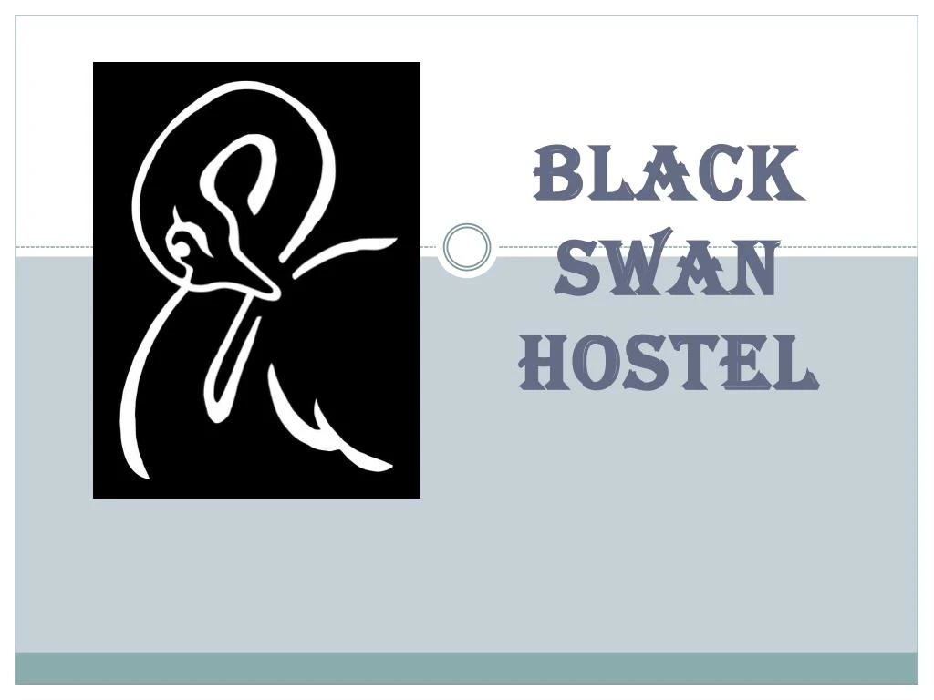 black swan hostel
