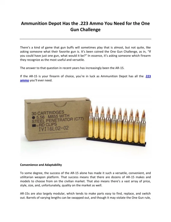 Ammunition Depot Has the .223 Ammo You Need for the One Gun Challenge