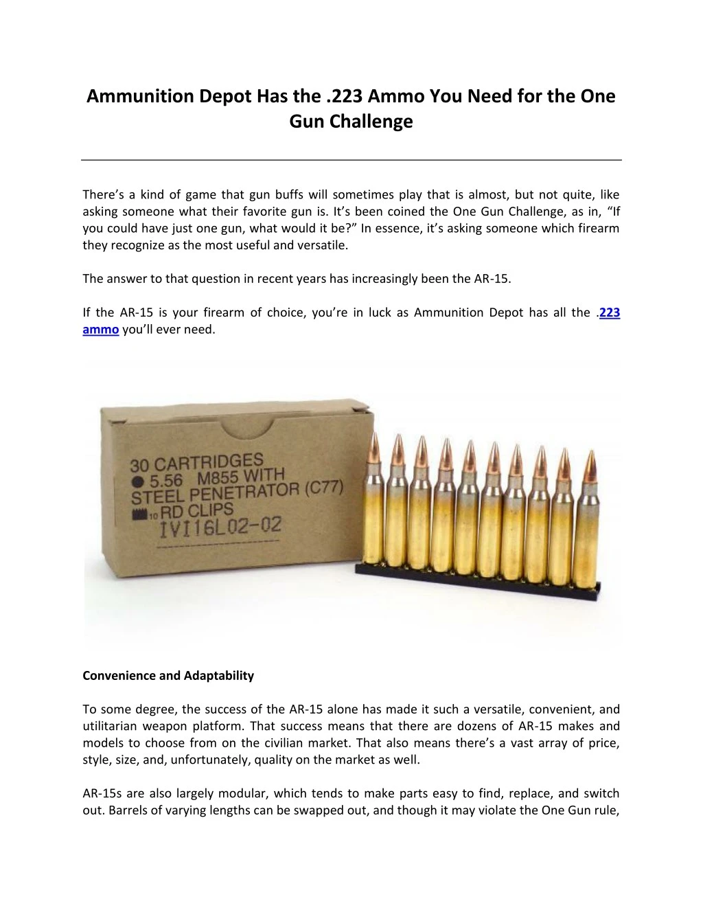 ammunition depot has the 223 ammo you need