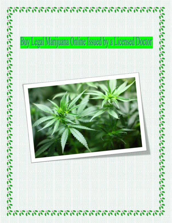 Buy legal marijuana online with miami aid wellness