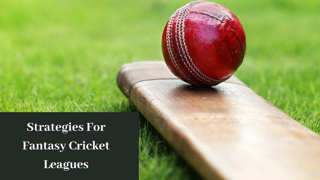 strategies for fantasy cricket leagues
