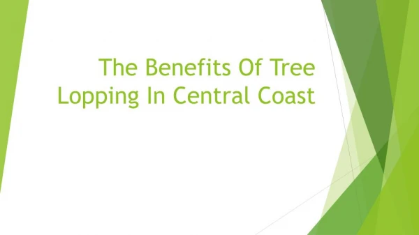 The Benefits Of Tree Lopping In Central Coast