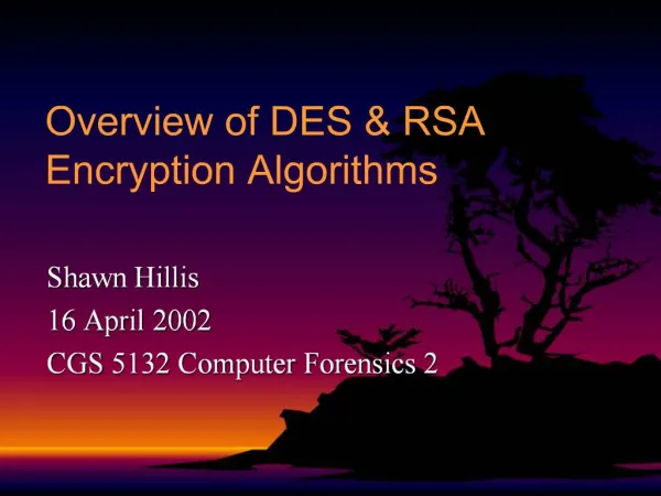 Overview of DES RSA Encryption Algorithms