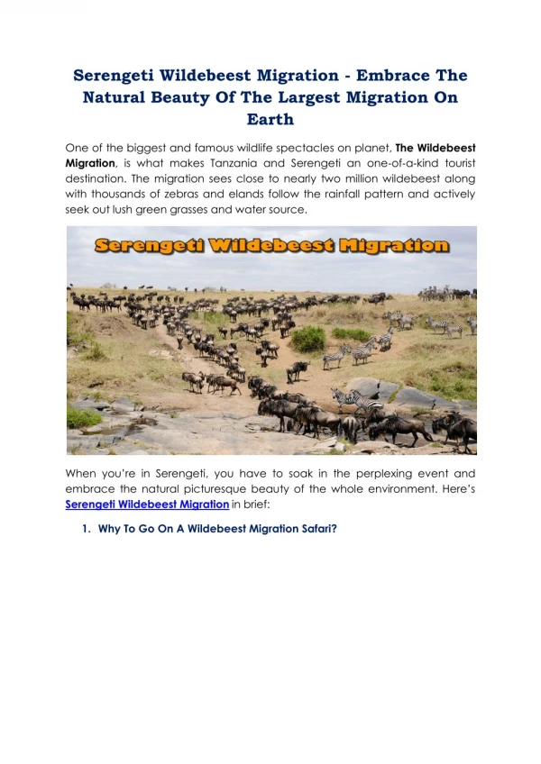 Serengeti Wildebeest Migration - Embrace The Natural Beauty Of The Largest Migration On Earth