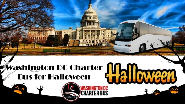 Washington DC Charter Bus for Halloween
