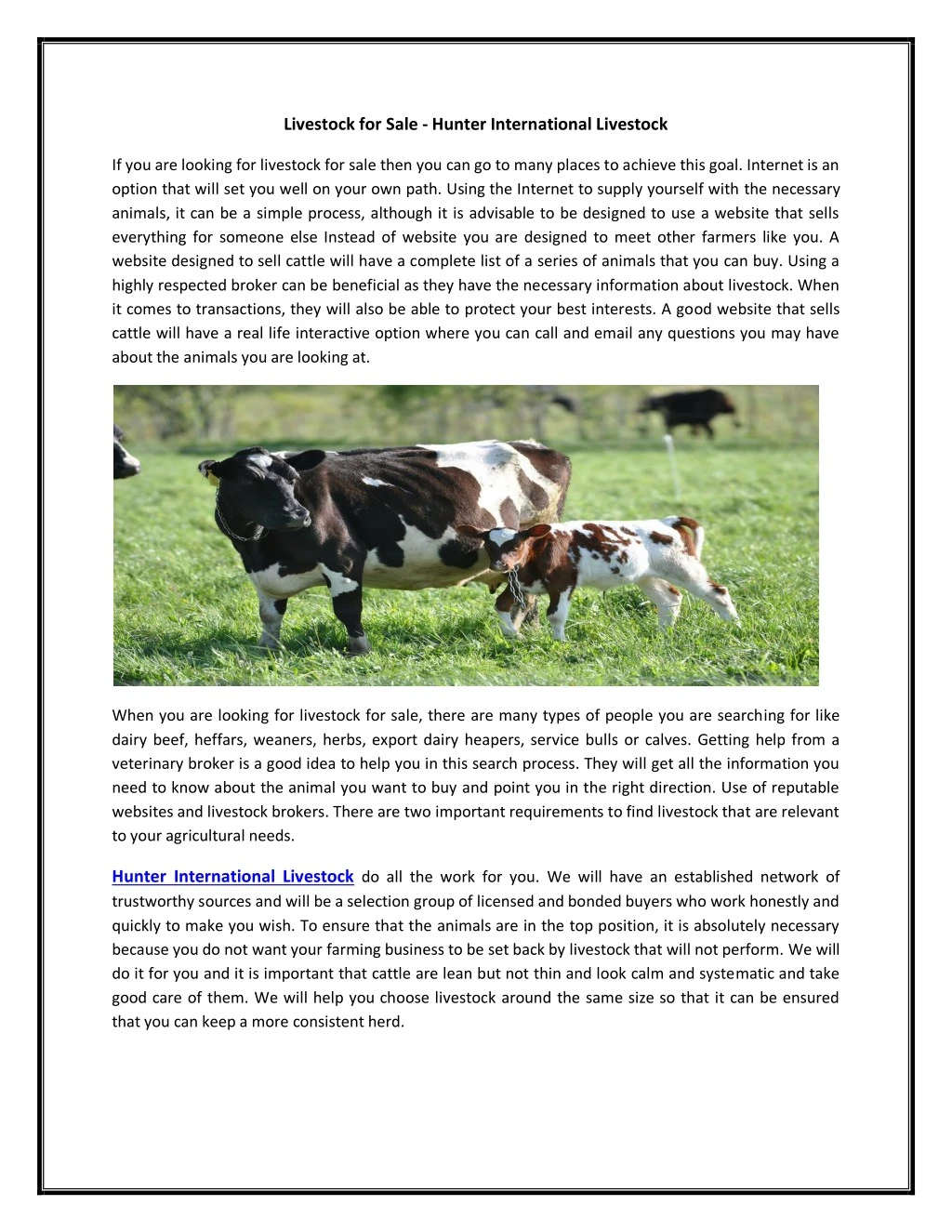 livestock for sale hunter international livestock