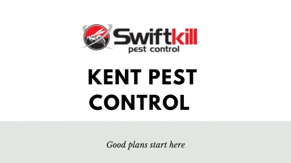Gravesend Pest Control Services