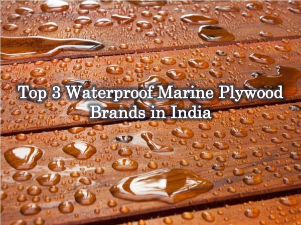 Top 3 Waterproof Marine Plywood Brands in India