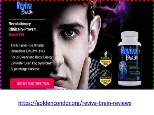 https://goldencondor.org/reviva-brain-reviews