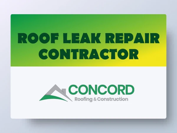 Roof Leak Repair Contractor