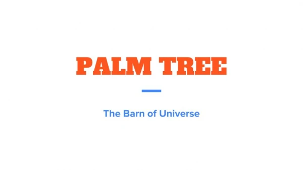 Palm Tree products