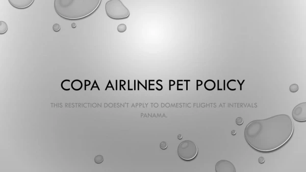 Copa Airlines Pet Policy