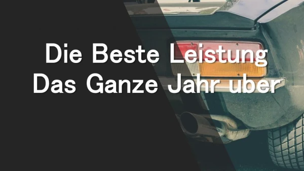 Die Beste Leistung Das Ganze Jahr Über