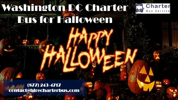 Washington DC Charter Bus for Halloween