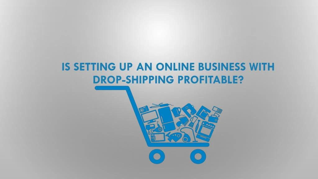 is setting up an online business with drop shipping profitable