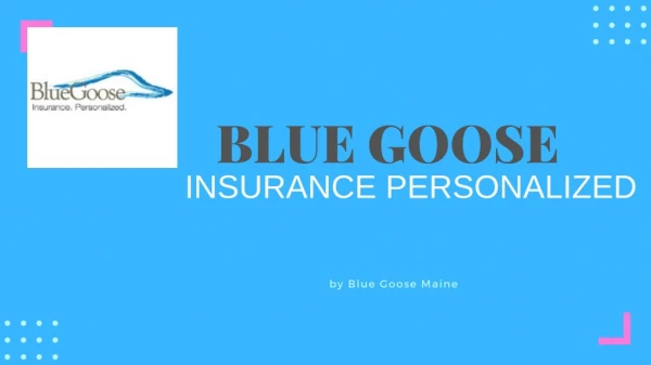 Best Medicare and Health Insurance Plans | Blue Goose Maine