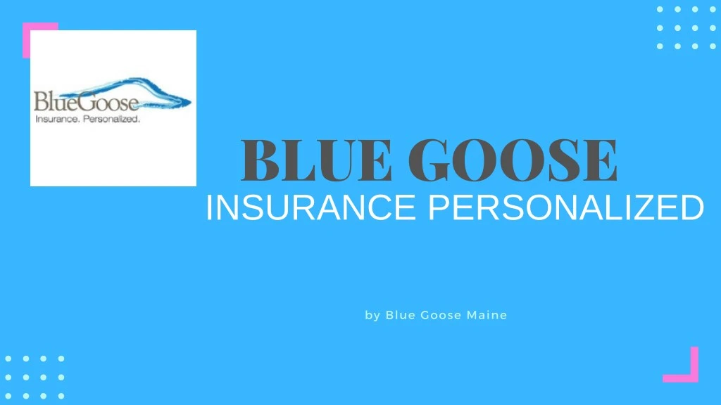 blue goose insurance personalized