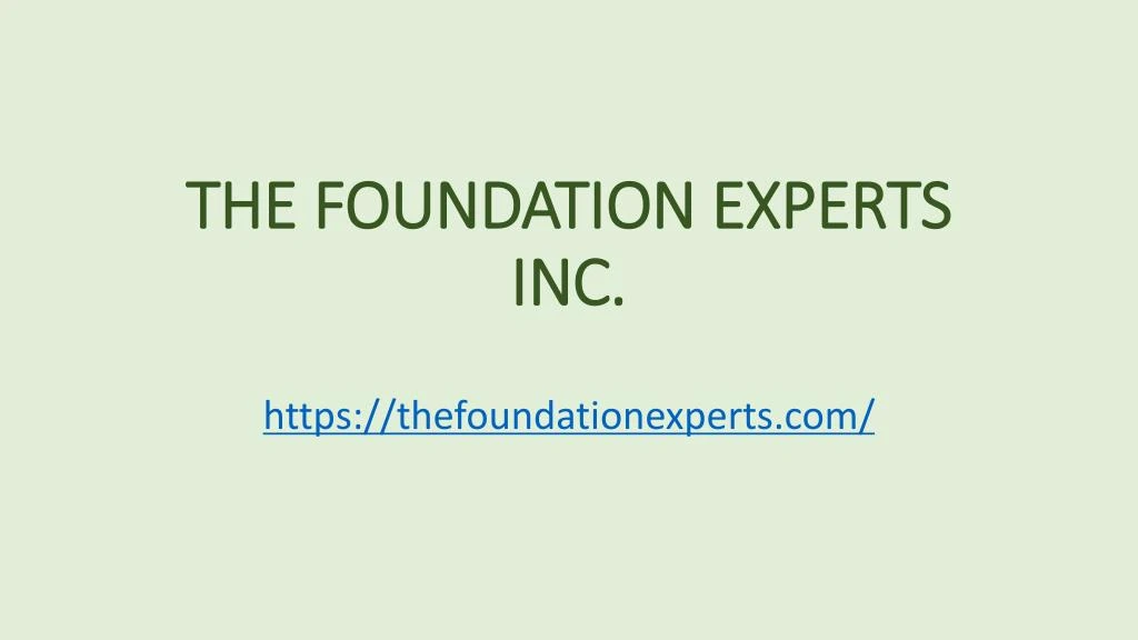 the foundation experts inc