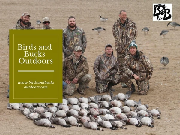 Colorado Guided Goose Hunt