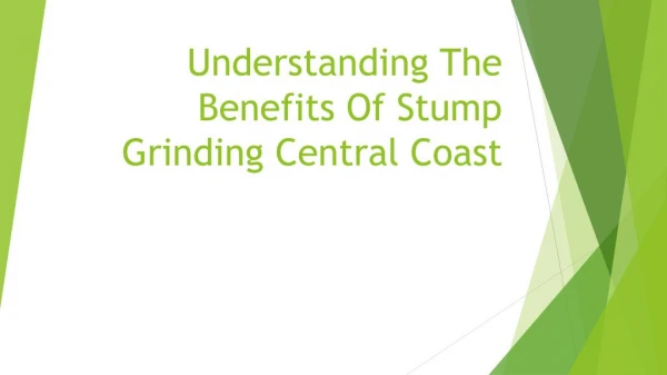 Understanding The Benefits Of Stump Grinding Central Coast