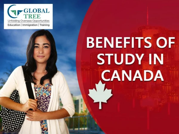 Benefits Of Study In Canada | Canada Education Consultants - Global Tree