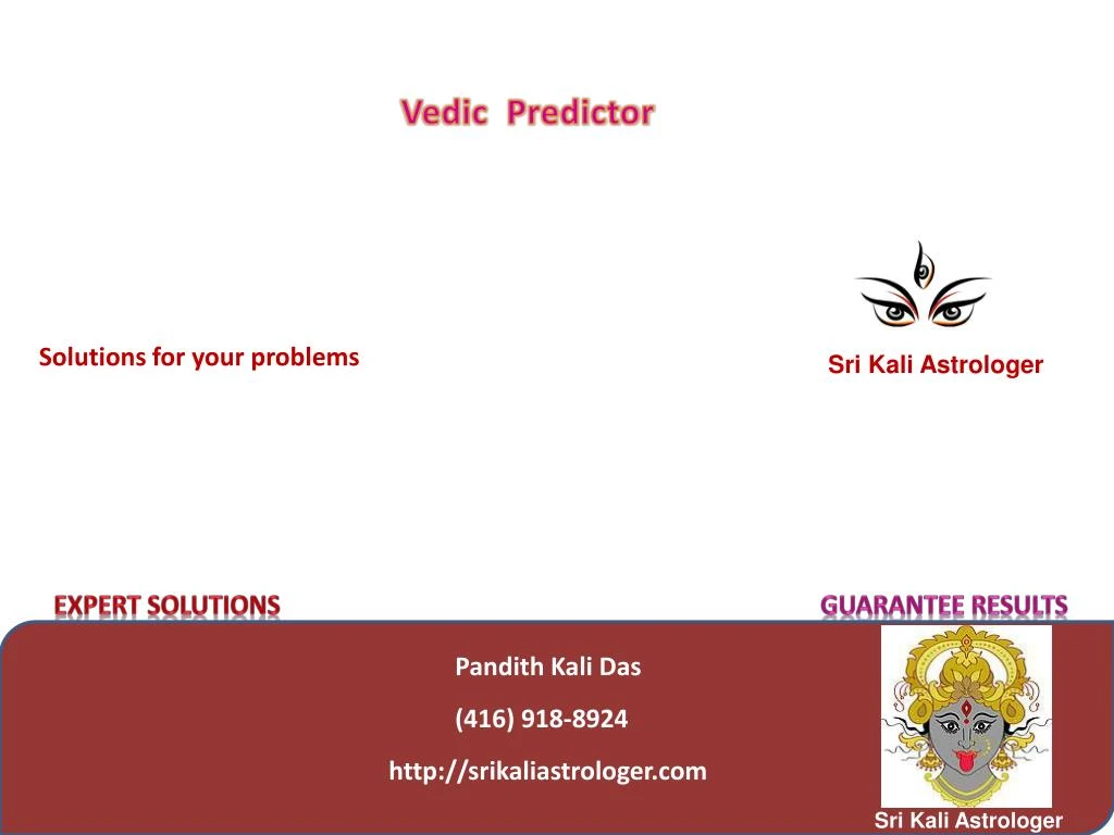 vedic predictor