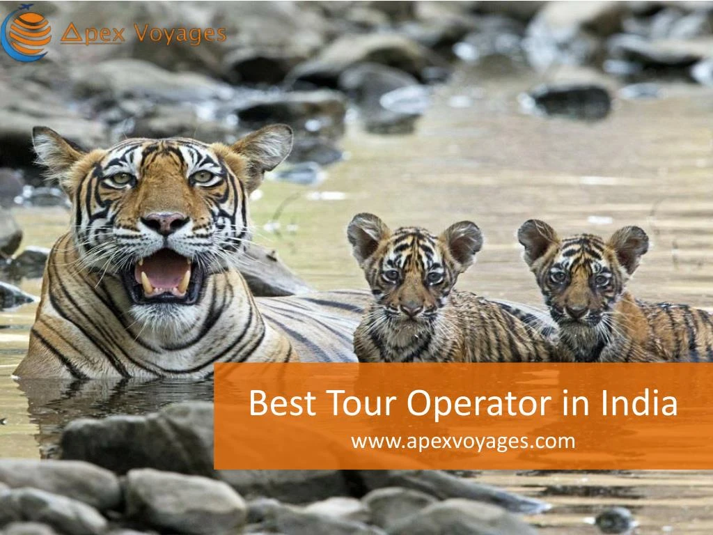 best tour operator in india www apexvoyages com