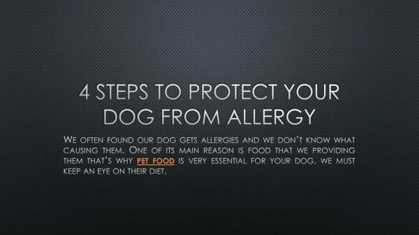 4 STEPS TO PROTECT YOUR Dog from allergy