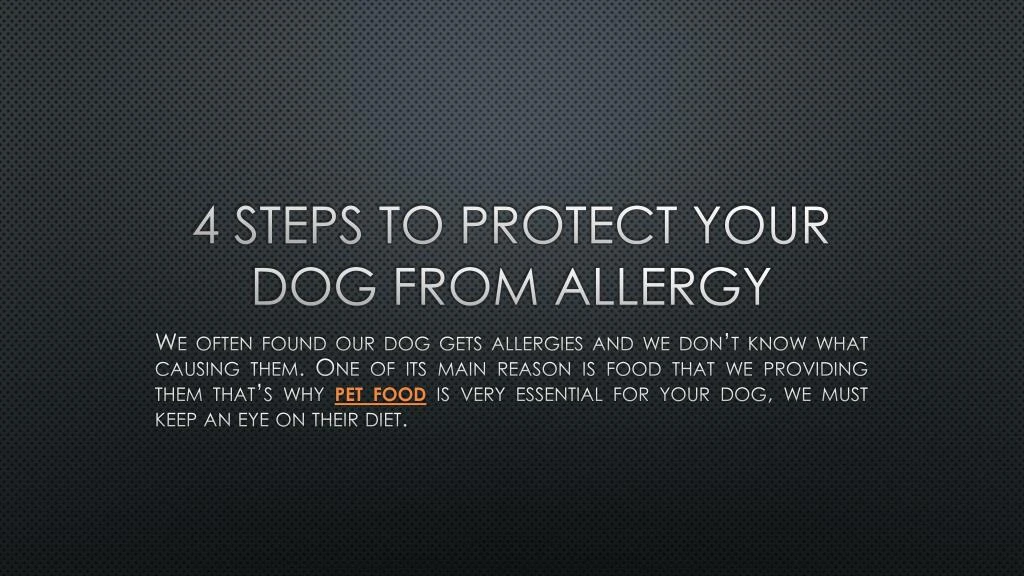 4 steps to protect your dog from allergy
