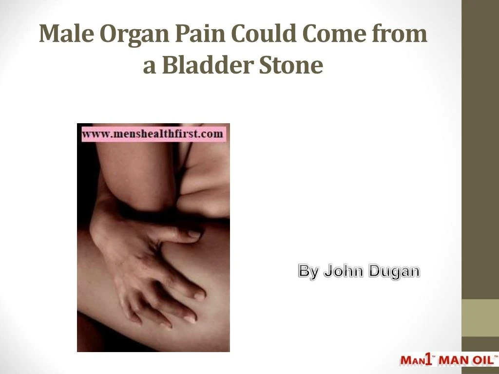 male organ pain could come from a bladder stone