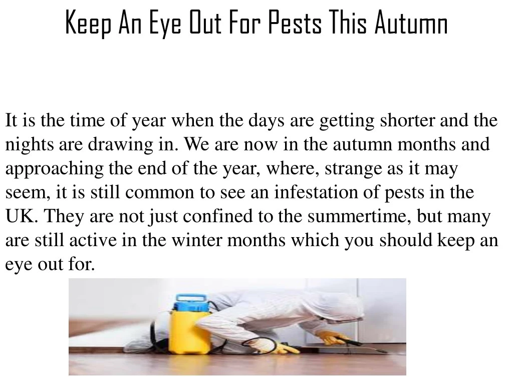 keep an eye out for pests this autumn