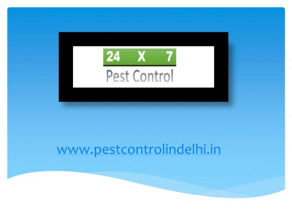 Professional termite pest control services in delhi