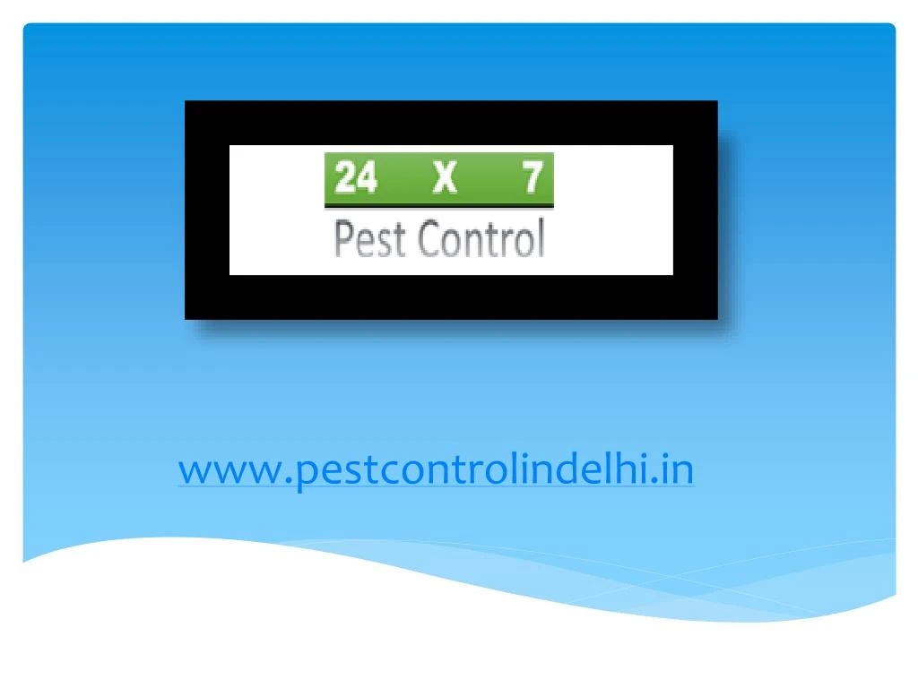 www pestcontrolindelhi in
