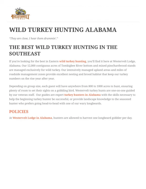 Wild Turkey Hunting In Alabama