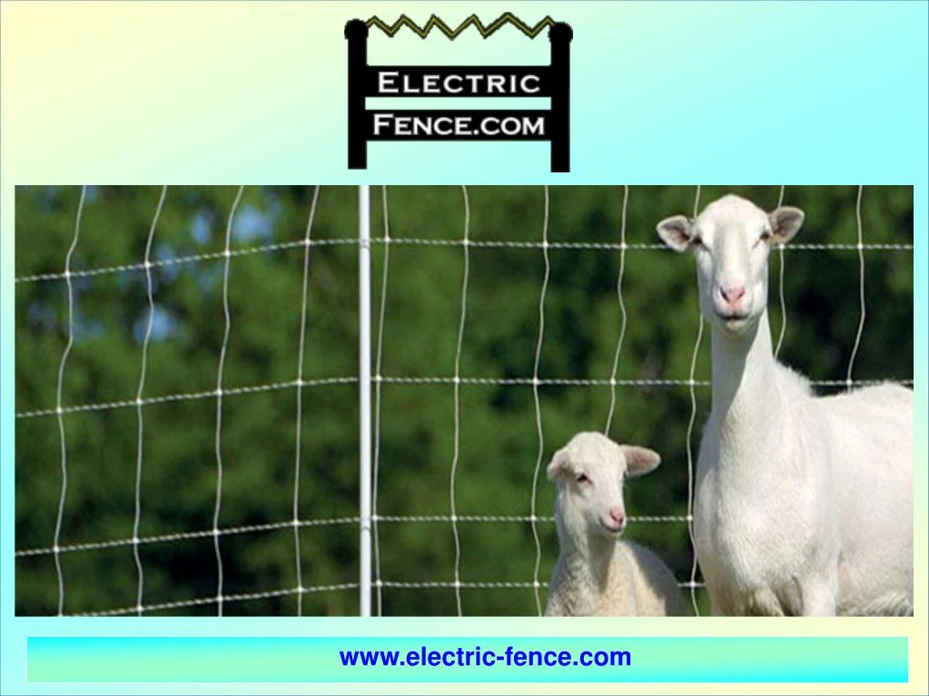 www electric fence com