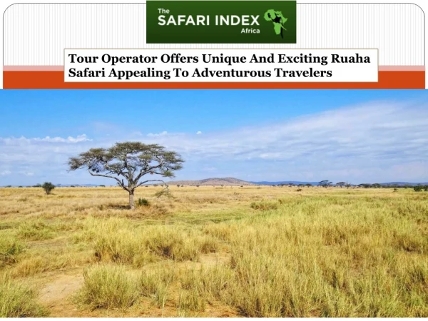 Tour Operator Offers Unique And Exciting Ruaha Safari Appealing To Adventurous Travelers