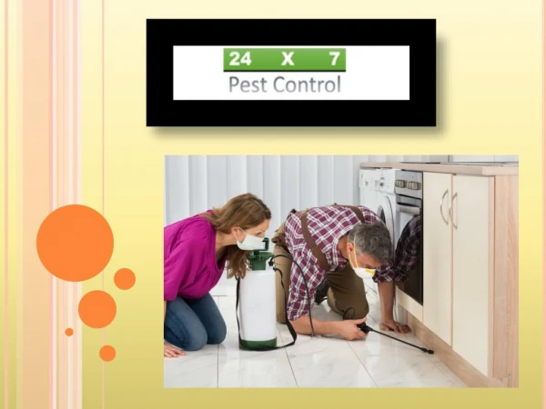 Offering Most Viable Pest Control Services in Faridabad