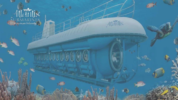 Save On Booking Your Cayman Islands Submarine Tour Online
