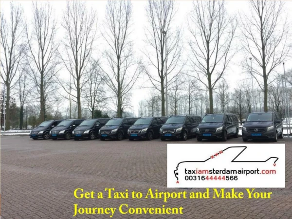 Taxi Amsterdam Airport
