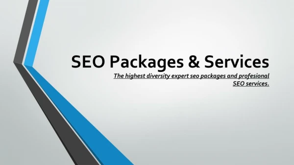 SEO Packages & Services