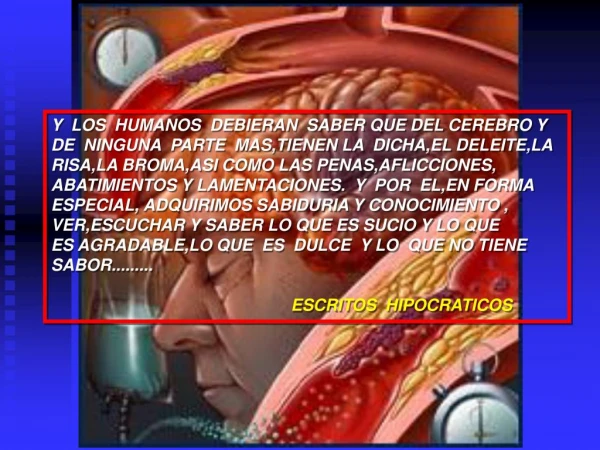 y los humanos debieran saber que del cerebro