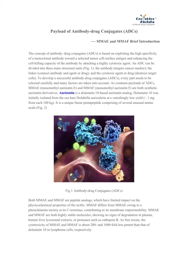 Payload of Antibody-drug Conjugates (ADCs) — MMAE and MMAF Brief Introduction