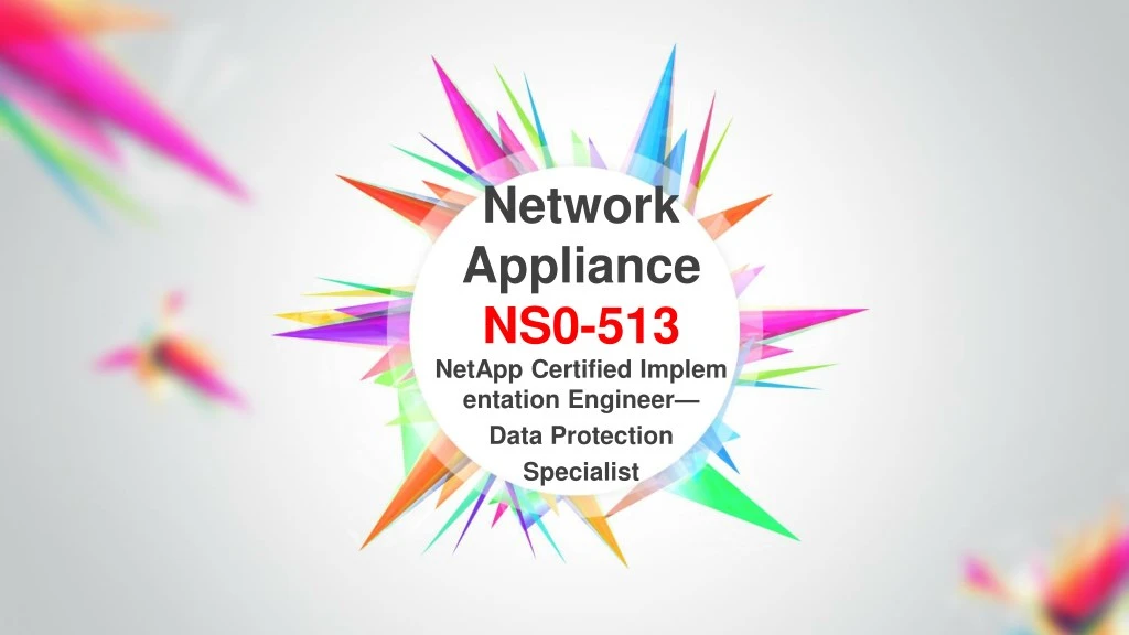 network appliance ns0 513